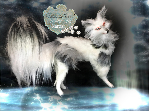 プラチナキツネ 銀狐 全身可動 完全オリジナル キツネ 狐 妖狐 羊毛