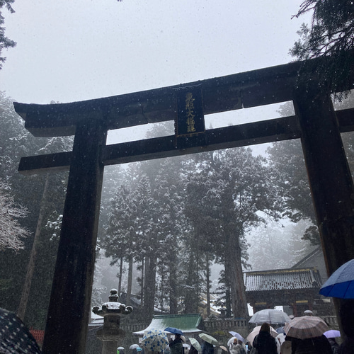 大迫力『龍神 × 日光東照宮の珠』 ― 鳴き龍伝説と神域の霊を宿す