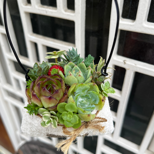 ☆送料無料☆♡そのまま飾れる♡リメイク缶バッグ型♬多肉植物寄せ植え