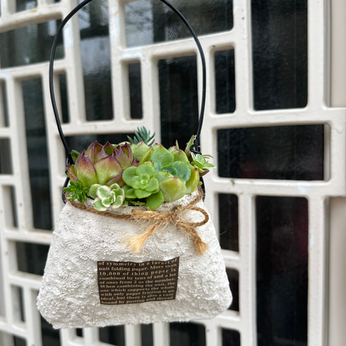 ☆送料無料☆♡そのまま飾れる♡リメイク缶バッグ型♬多肉植物寄せ植え