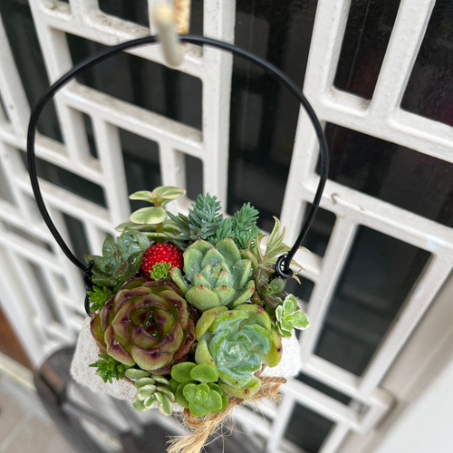 ☆送料無料☆♡そのまま飾れる♡リメイク缶バッグ型♬多肉植物寄せ植え