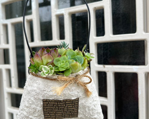 リメ缶　リメイク缶　☘️3個セット　革タグ付き　多肉植物 リメ缶 リメイク缶 ☘️3個セット 革タグ付き 多肉植物 リメイク缶の