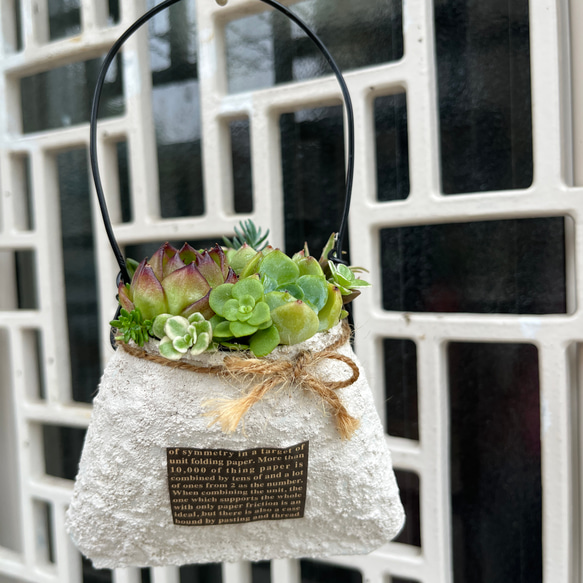 ☆送料無料☆♡そのまま飾れる♡リメイク缶バッグ型♬多肉植物寄せ植え