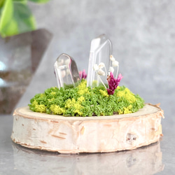 46a4bc118a394c16e13001240a6ef6