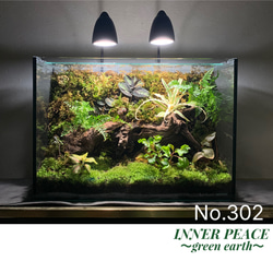 57 イモリウム カエルリウム 苔アート 苔テラリウム テラリウム