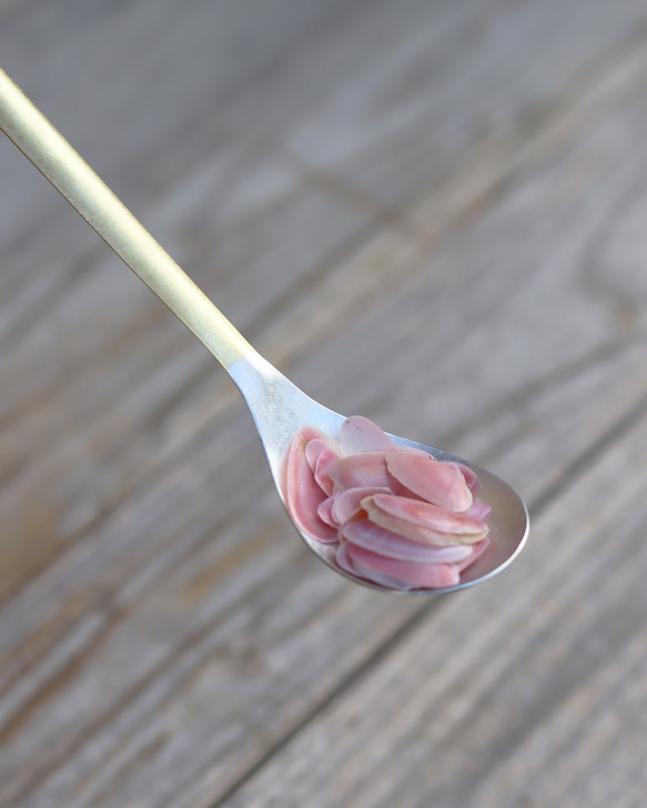 ライトな真鍮スプーン 1枚目の画像