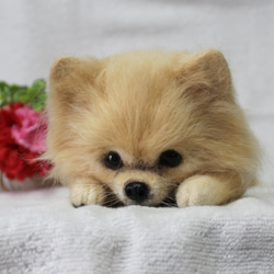 羊毛フェルト オーダー「リアルで可愛いワンちゃん(ネコちゃん