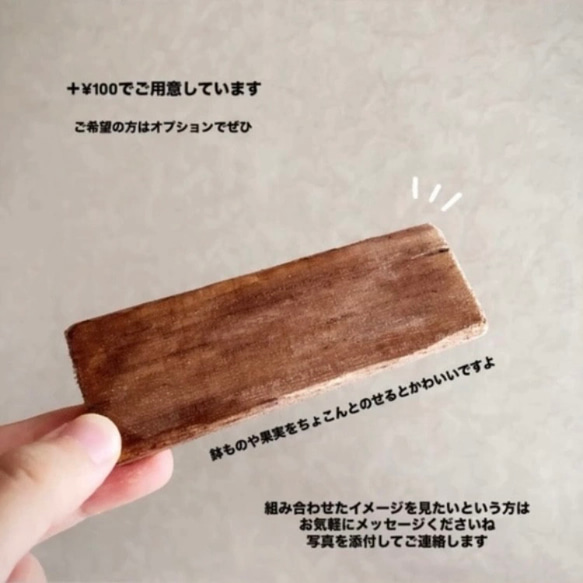 9826.bud 秋の実り 洋梨 6枚目の画像