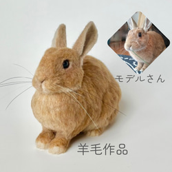 羊毛フェルト オーダー 「リアルで可愛いウサギちゃん」ネザーランド