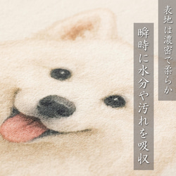 Jubilee もこもこ起毛 トイレマット 滑り止め付 55x60cm 犬柄 ドッグ JB-MAT5560-dog 3枚目の画像
