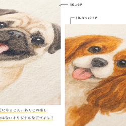 Jubilee もこもこ起毛 トイレマット 滑り止め付 55x60cm 犬柄 ドッグ JB-MAT5560-dog 7枚目の画像