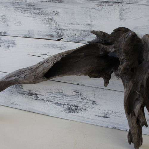 流木 あく抜き処理 煮沸消毒済 テラリウム 爬虫類 登り木 レイアウト