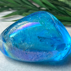 タイムリンク ブラジル・ミナスジェライス州 トマスゴンサガ産