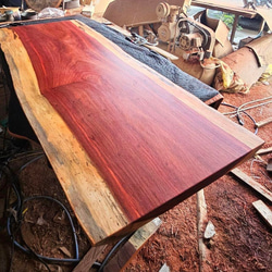 銀杏 イチョウ 一枚板 特大 高級 ダイニングテーブル ダイニング