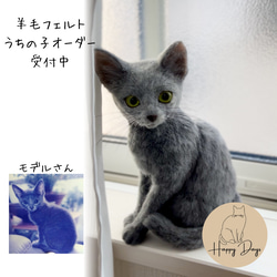 パステル三毛猫 ダイリュートキャリコ 三毛猫 猫 羊毛フェルト アート