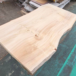 銀杏 イチョウ 一枚板 特大 高級 ダイニングテーブル ダイニング