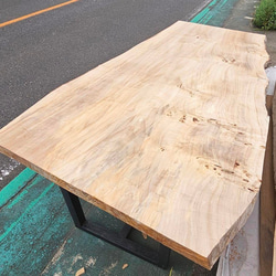 銀杏 イチョウ 一枚板 特大 高級 ダイニングテーブル ダイニング