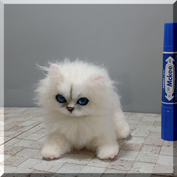 羊毛フェルト　猫　子猫　サバ白ねこちゃん 猫がいる風景🐈 ＊ さば白猫 好奇心旺盛な子🙂 ＊ #cat #neko