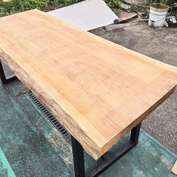 モンキーポット　ベンチ　カウンター　座卓　一枚板　テレビ台 モンキーポット ベンチ カウンター 座卓 一枚板 テレビ台 ソファ