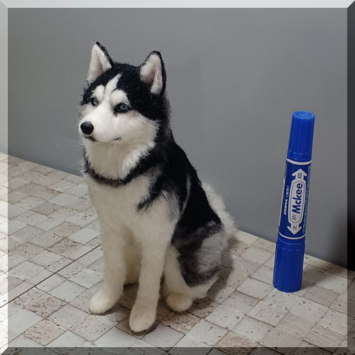 羊毛フェルト　シベリアンハスキー 羊毛フェルト 犬 シベリアンハスキー ハスキー犬 いぬ イヌ 犬