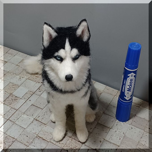 羊毛フェルト 犬 シベリアンハスキー ハスキー犬 いぬ イヌ 犬