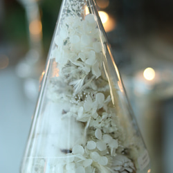 クリスマス2025 Xmasツリー　M.L 2個セット 9枚目の画像