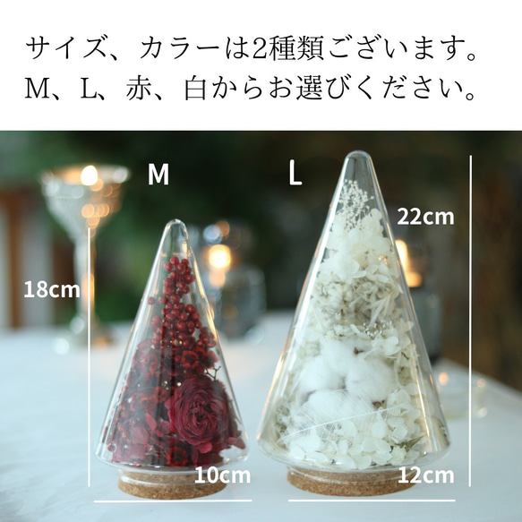 クリスマス2025 Xmasツリー　M.L 2個セット 3枚目の画像