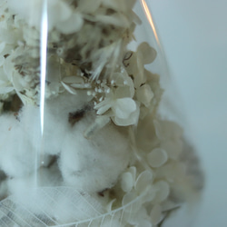 クリスマス2025 Xmasツリー　M.L 2個セット 6枚目の画像