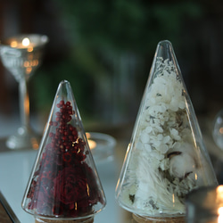 クリスマス2025 Xmasツリー　M.L 2個セット 10枚目の画像