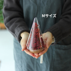 クリスマス2025 Xmasツリー　M.L 2個セット 4枚目の画像