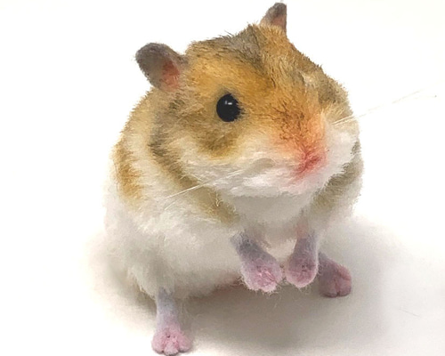 36710f0d41e1584a6f71b5d49e8214