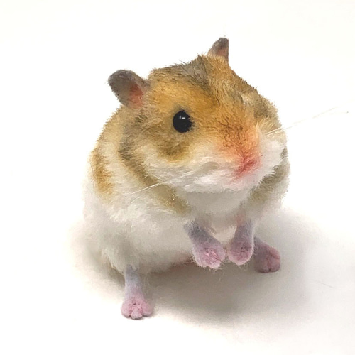受注制作＞ゴールデンハムスターのぬいぐるみ ぬいぐるみ VULCAN 通販