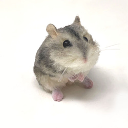 ロバのぬいぐるみ［受注制作］ ぬいぐるみ kutcha kacha 通販 5972290