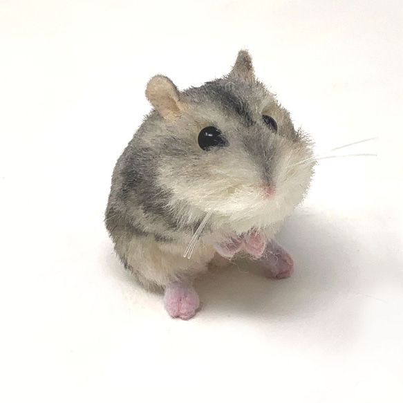 受注制作＞ジャンガリアンハムスターのぬいぐるみ ノーマル ぬいぐるみ