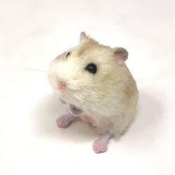 ハムスター ぬいぐるみ のおすすめ人気通販｜Creema(クリーマ) 国内