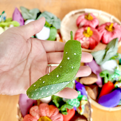 かぼちゃ入りタイプ⭐︎ちりめん⭐︎秋のお野菜たち(夏冬野菜も混じってます) 8枚目の画像