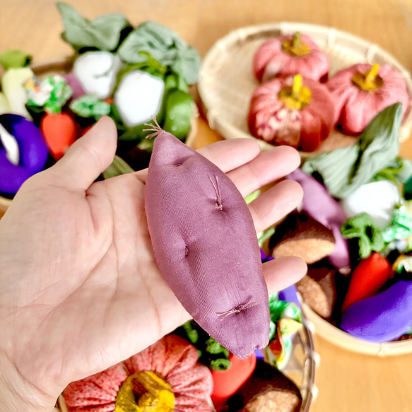 ちりめん⭐︎秋のお野菜たち(夏冬野菜も混じってます) 3枚目の画像