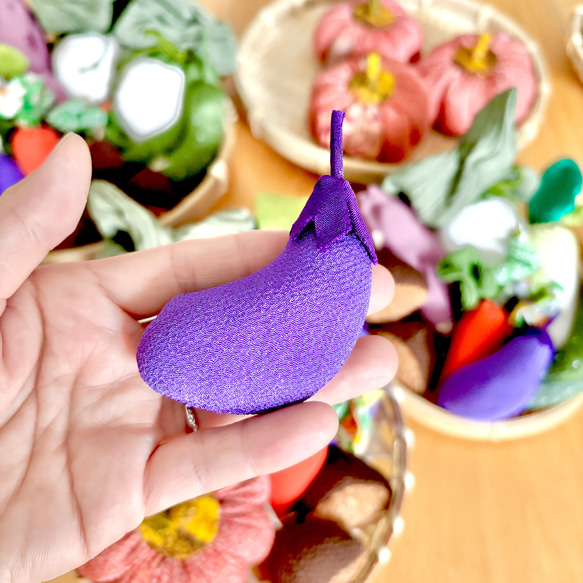 ちりめん⭐︎秋のお野菜たち(夏冬野菜も混じってます) 8枚目の画像