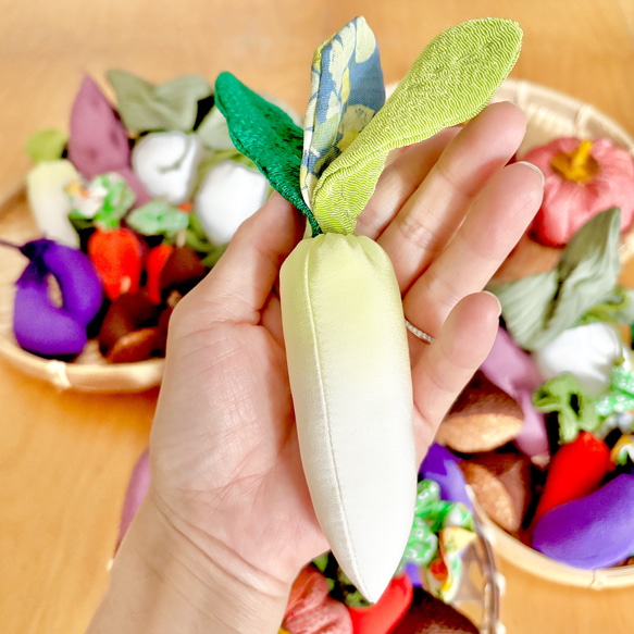 ちりめん⭐︎秋のお野菜たち(夏冬野菜も混じってます) 2枚目の画像