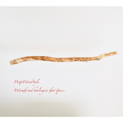 130ｃｍサイズの無骨で太い大型流木のハンガーラック 北欧 衣装掛 ハンギング ハンガーポール N2 7枚目の画像