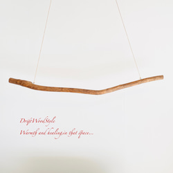 130ｃｍサイズの無骨で太い大型流木のハンガーラック 北欧 衣装掛 ハンギング ハンガーポール N3 7枚目の画像