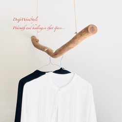 130ｃｍサイズの無骨で太い大型流木のハンガーラック 北欧 衣装掛 ハンギング ハンガーポール N3 3枚目の画像