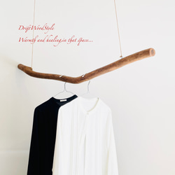 130ｃｍサイズの無骨で太い大型流木のハンガーラック 北欧 衣装掛 ハンギング ハンガーポール N3 1枚目の画像