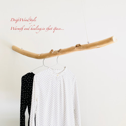 130ｃｍサイズの無骨で太い大型流木のハンガーラック 北欧 衣装掛 ハンギング ハンガーポール N6 1枚目の画像