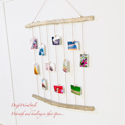 流木インテリア 壁一面に写真を飾れる大サイズのフォトディスプレイ 流木 写真ハンガー ウォールデコ 壁掛け N16 3枚目の画像