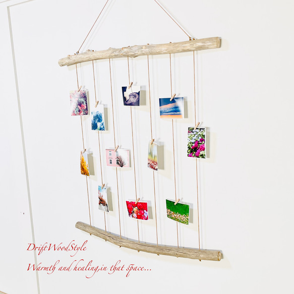 流木インテリア 壁一面に写真を飾れる大サイズのフォトディスプレイ 流木 写真ハンガー ウォールデコ 壁掛け N16 3枚目の画像
