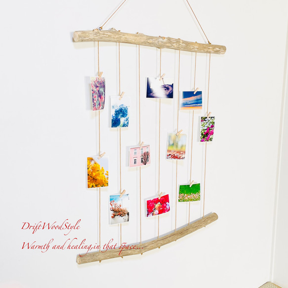 流木インテリア 壁一面に写真を飾れる大サイズのフォトディスプレイ 流木 写真ハンガー ウォールデコ 壁掛け N16 2枚目の画像