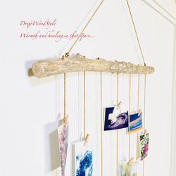 流木インテリア 壁一面に写真を飾れる大サイズのフォトディスプレイ 流木 写真ハンガー ウォールデコ 壁掛け N16 4枚目の画像