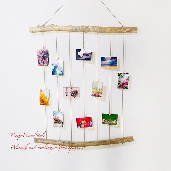 流木インテリア 壁一面に写真を飾れる大サイズのフォトディスプレイ 流木 写真ハンガー ウォールデコ 壁掛け N16 1枚目の画像