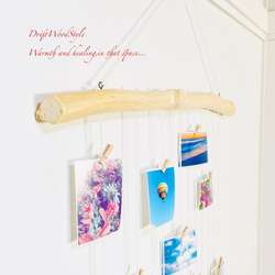流木インテリア 壁一面に写真を飾れる大サイズのフォトディスプレイ 流木 写真ハンガー ウォールデコ 壁掛け N17 4枚目の画像